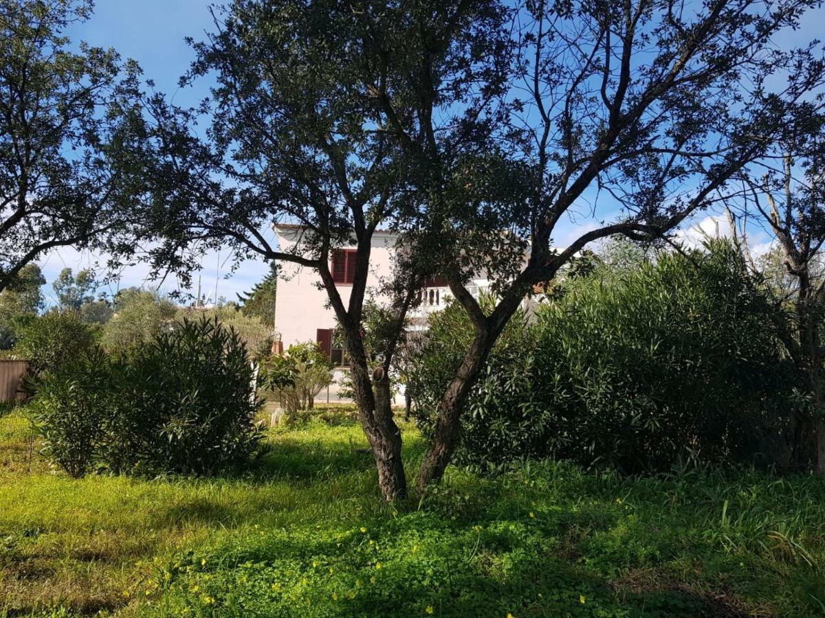 Villa Casa mimosa Cala Liberotto Exterior foto